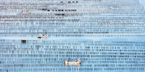 Bouchots à l'Ile d'Oléron di Francis Leroy, Fotografia in vendita su Singulart