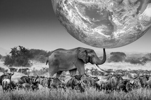 Imposing de Alain Ernoult, Fotografía a la venta en Singulart