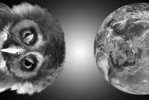 Wink de Alain Ernoult, Fotografía a la venta en Singulart