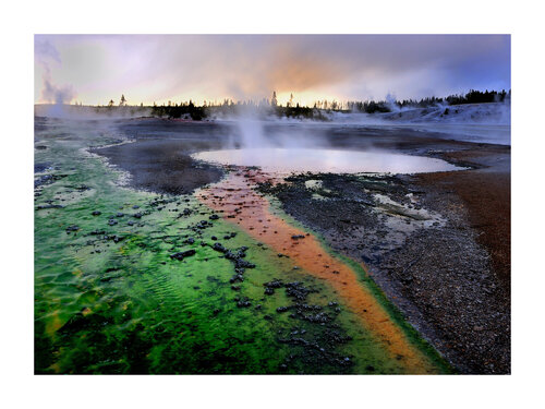 NORRIS GEYSER BASIN, YELLOWSTONE NATIONAL PARK ( WYOMING, USA ) van Alain Ernoult, Fotografie te koop op Singulart