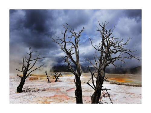 MAMMOTH HOT SPRINGS, CANARY SPRINGS  DE YELLOWSTONE NATIONAL PARK ( WYOMING, USA ) von Alain Ernoult, Fotografie kaufen auf Singulart
