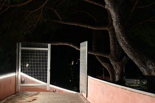 Venezia #8 von Torsten Pauer, Fotografie kaufen auf Singulart