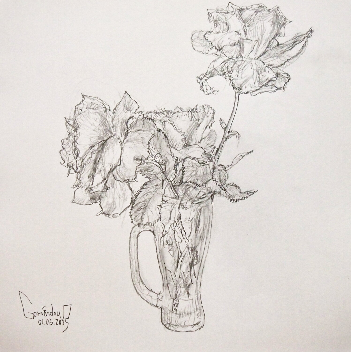 Rose Study 1 Goro Endow