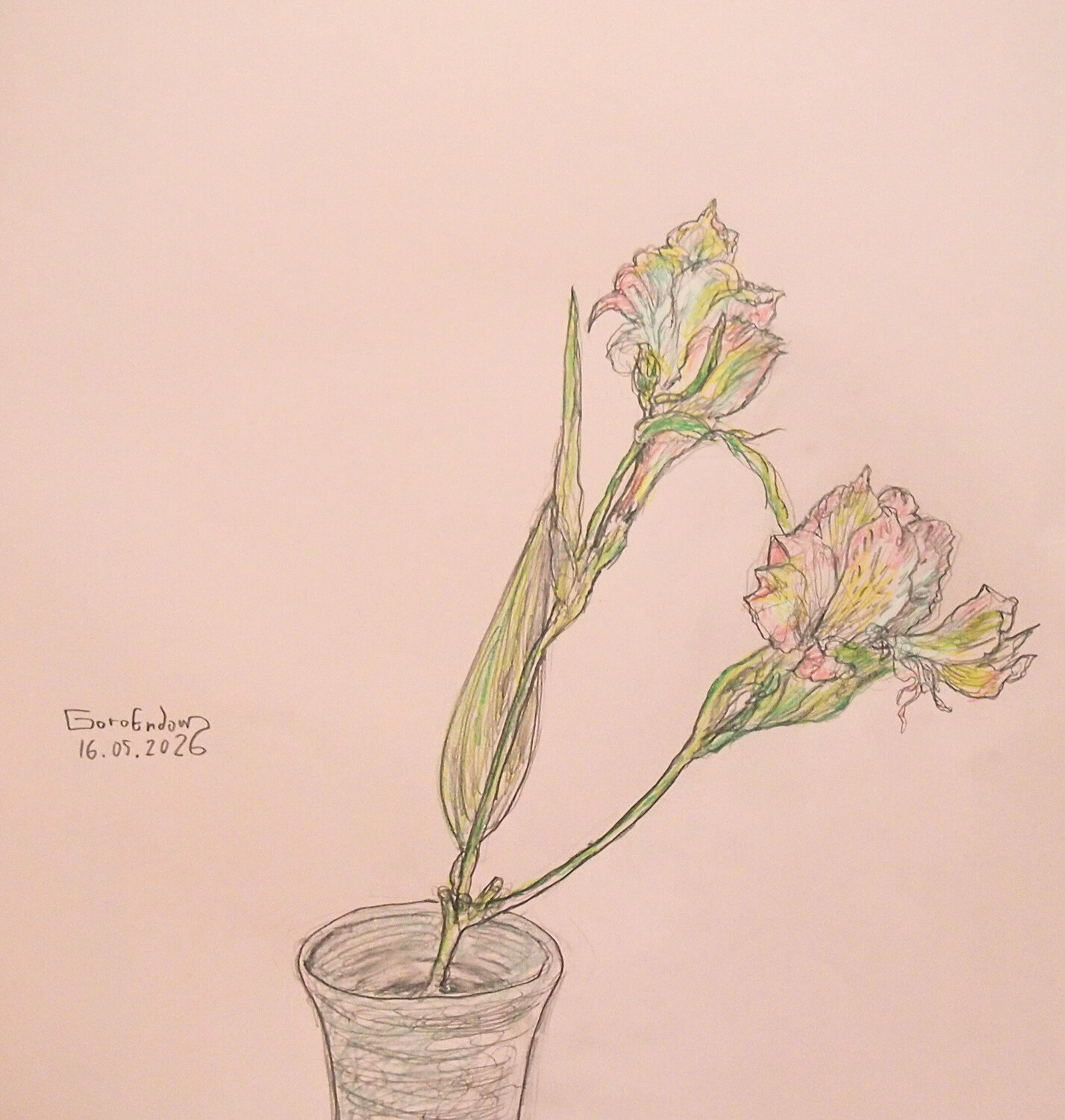 Flower Study 2026-8 Goro Endow Work on Paper for sale