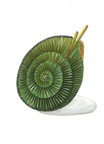 PEACE SEED "FRAUENCHIEMSEE" - GERMANY von Gudrun KARGL, Zeichnungen kaufen auf Singulart