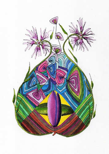 PEACE SEED 'PRACHTNELKE' von Gudrun KARGL, Zeichnungen kaufen auf Singulart
