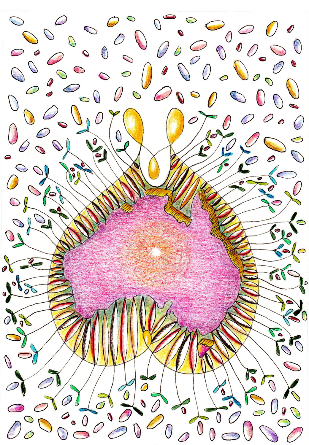 PEACE SEED AUSTRALIA CONTINENT Gudrun KARGL