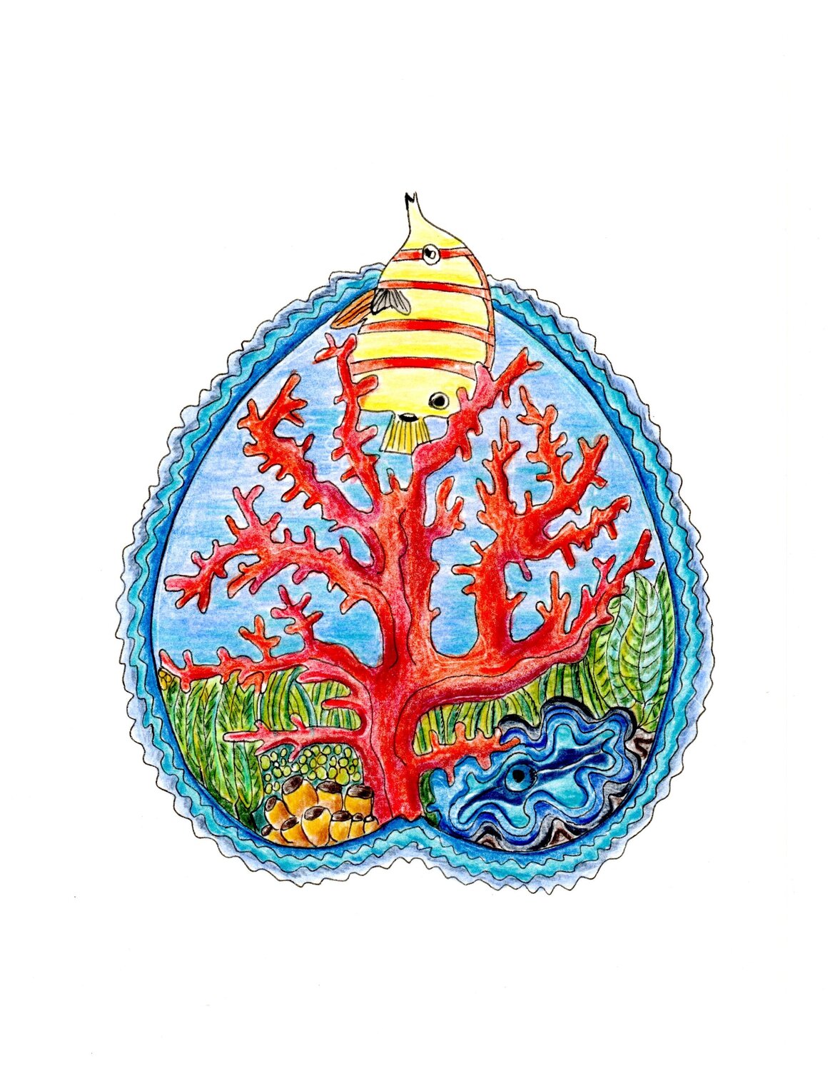 PEACE SEED GREAT BARRIER REEF, Australia Gudrun KARGL Zeichnungen zu verkaufen