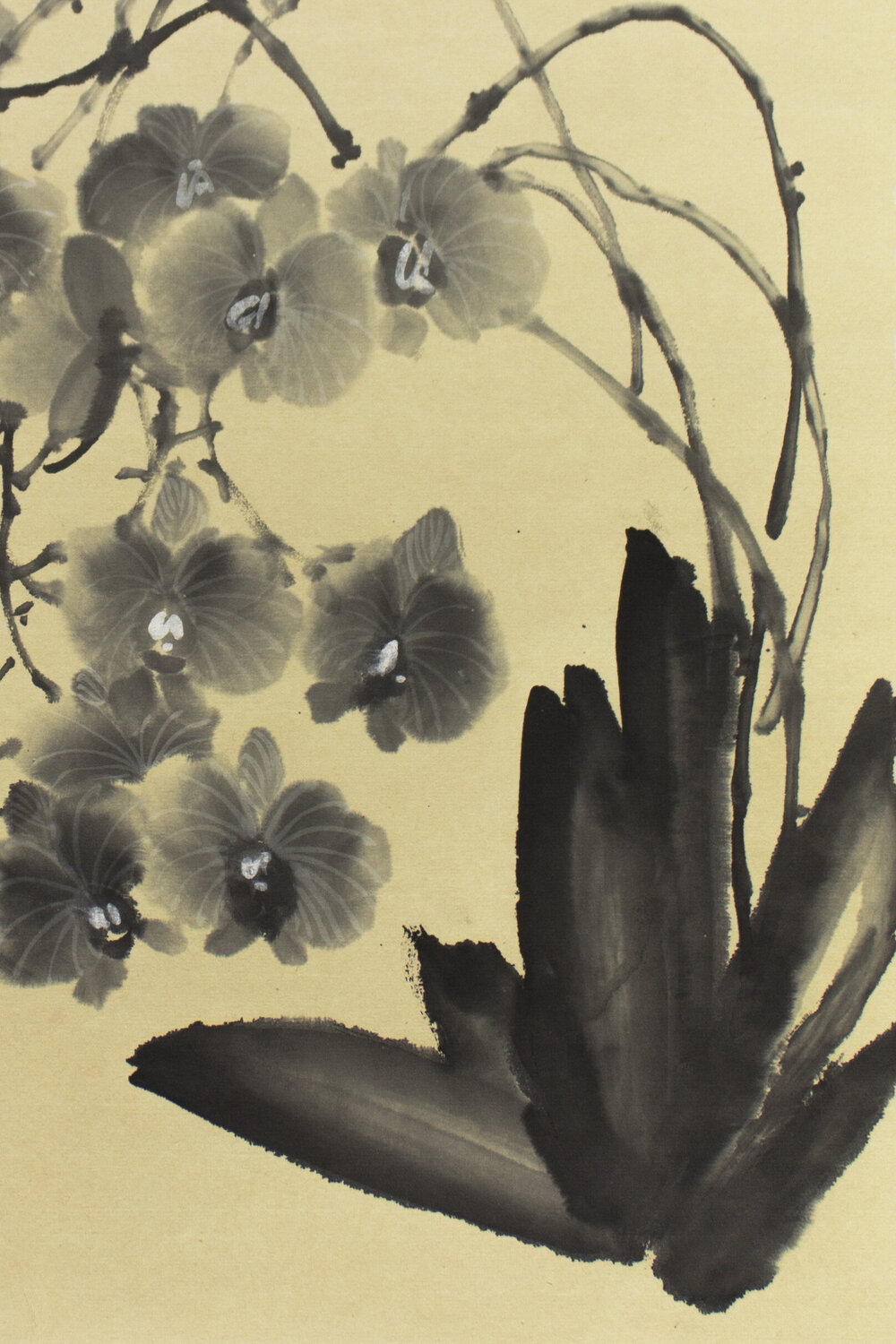 プリント絵画　Cariofillee Illustration, probably from The Battle of the Beaux and the