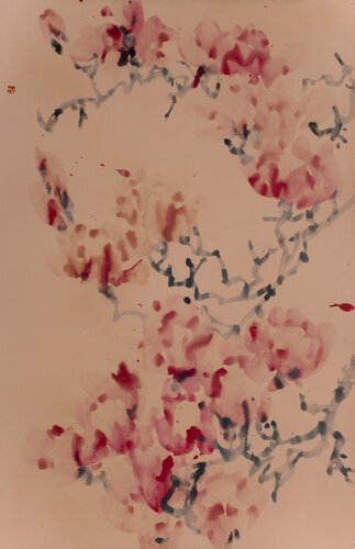 Pink magnolia di Kseniya Dueva, Pittura in vendita su Singulart