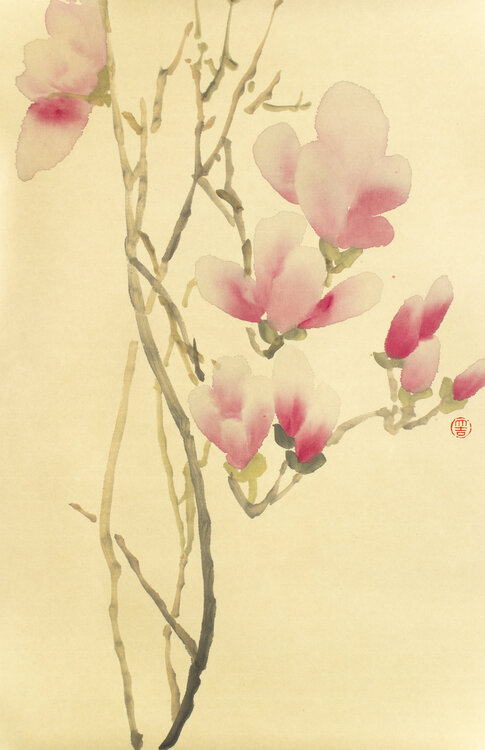 Pink magnolia Kseniya Dueva