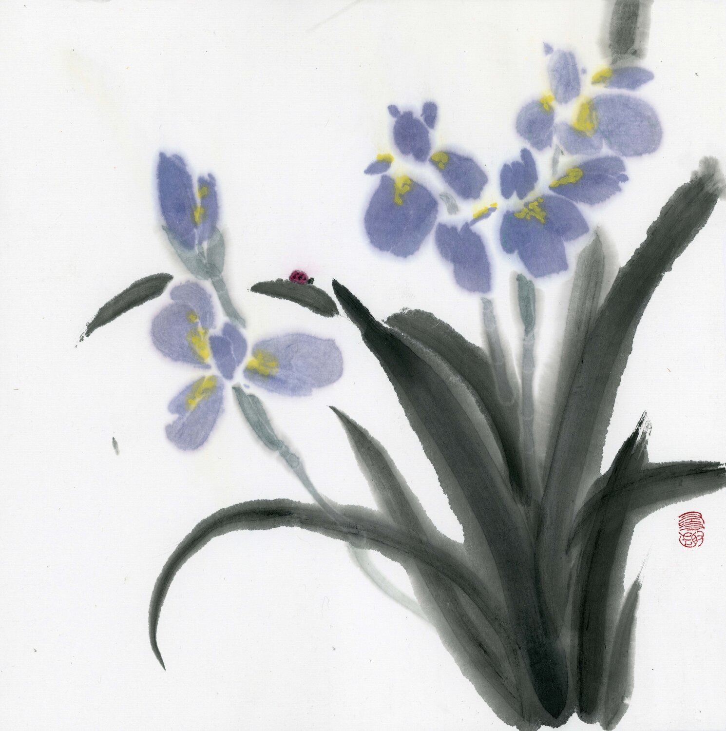 Blue Iris Kseniya Dueva