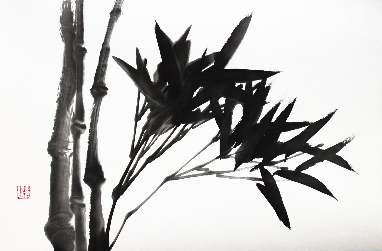 Black young bamboo Kseniya Dueva