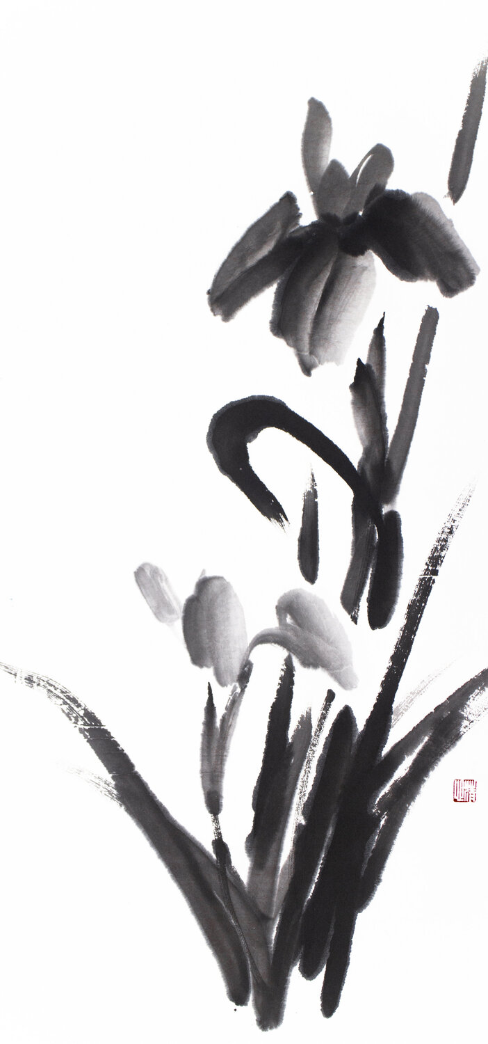 Black Iris Kseniya Dueva