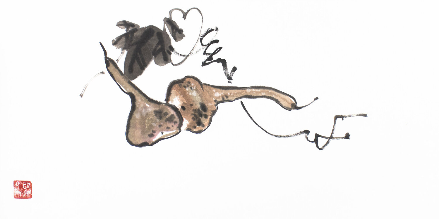 Bottle gourds Kseniya Dueva