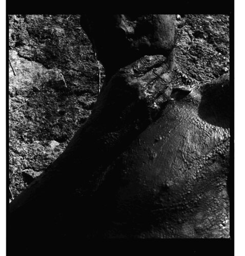 CORPS TELLURIQUE 2 von gilles Arnould, Fotografie kaufen auf Singulart