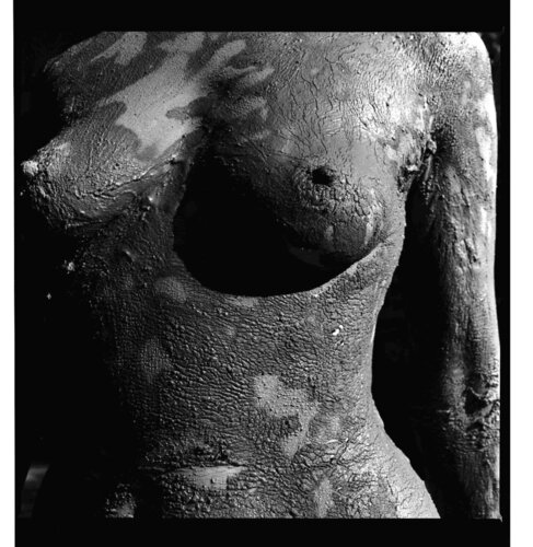 CORPS TELLURIQUE 5 von gilles Arnould, Fotografie kaufen auf Singulart