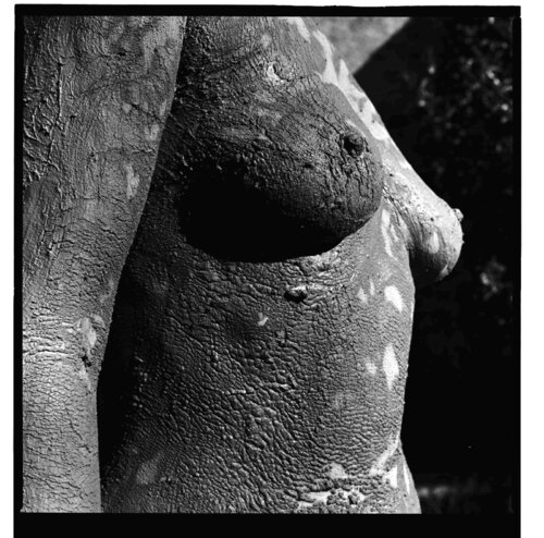 CORPS TELLURIQUE 6 von gilles Arnould, Fotografie kaufen auf Singulart