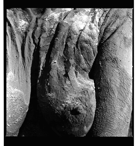 CORPS TELLURIQUE 7 von gilles Arnould, Fotografie kaufen auf Singulart