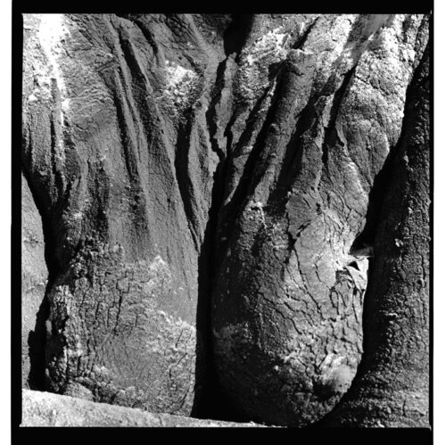 CORPS TELLURIQUE 9 von gilles Arnould, Fotografie kaufen auf Singulart