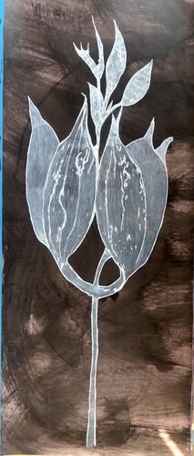 Banksia S1 11 by gilles Arnould, Work on Paper for Sale on Singulart