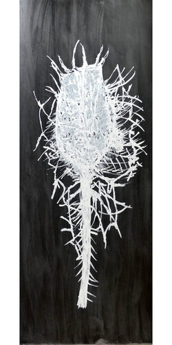 Banksia S1 13 by gilles Arnould, Work on Paper for Sale on Singulart