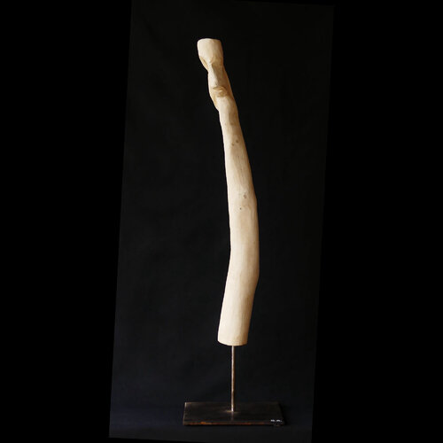 SIL 3 di gilles Arnould, Scultura in vendita su Singulart
