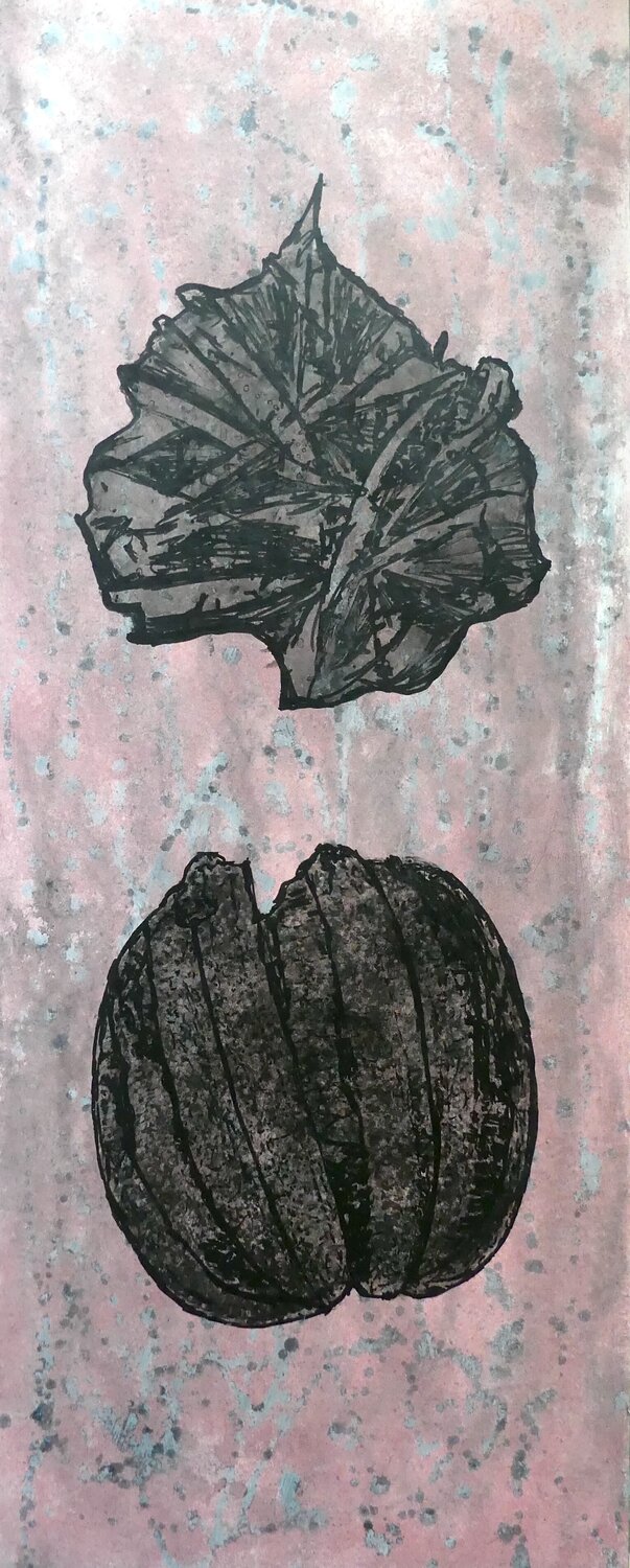 Banksia S1 6 gilles Arnould