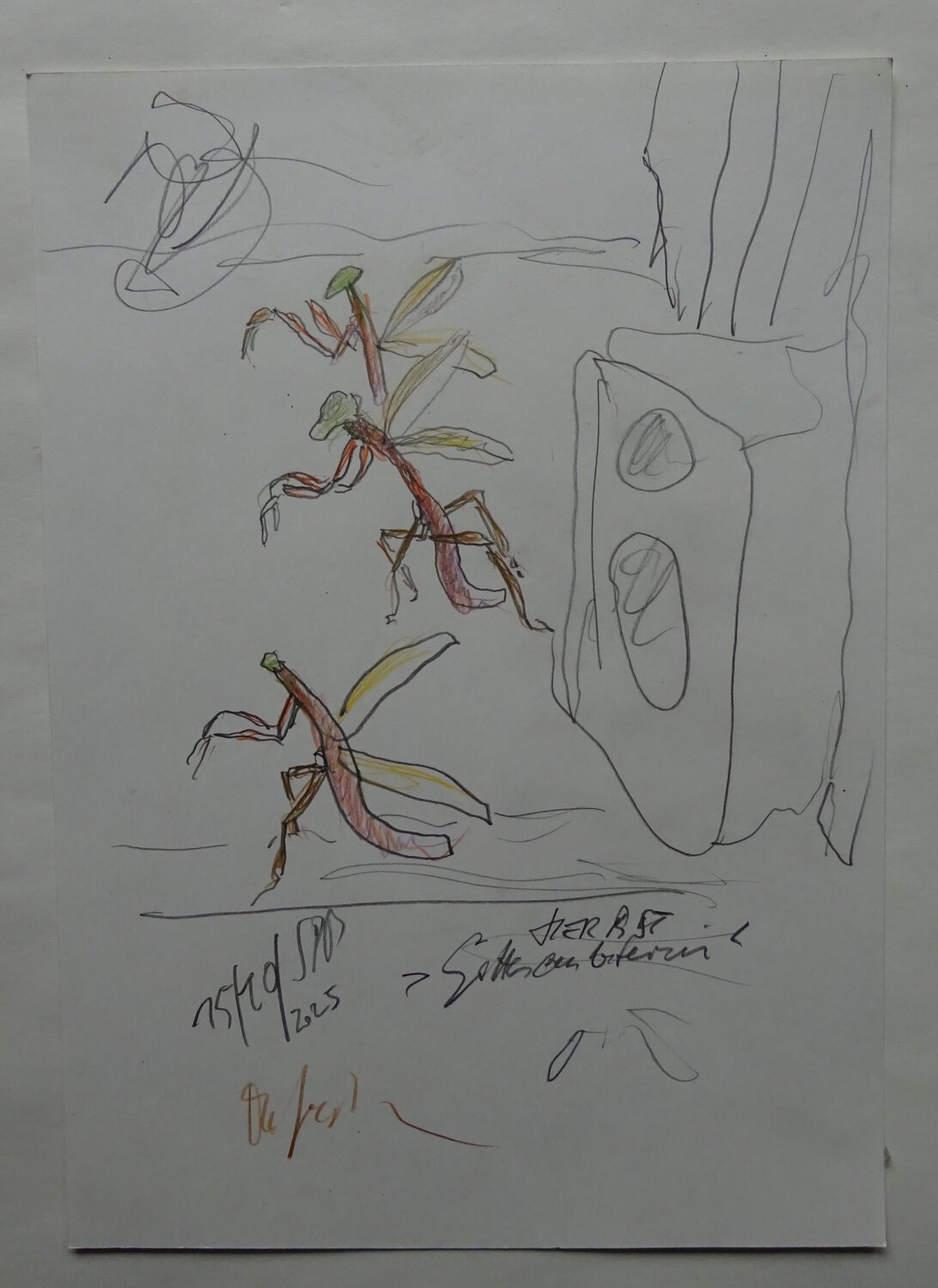 "Herbst - Gottesanbeterin" Marco Szedenik Œuvre sur papier à vendre