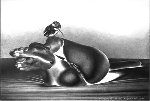 Le Martin pêcheur di Alain Bonnand, Disegno in vendita su Singulart