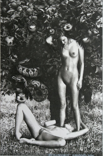 Les Hespérides II von Alain Bonnand, Zeichnungen kaufen auf Singulart