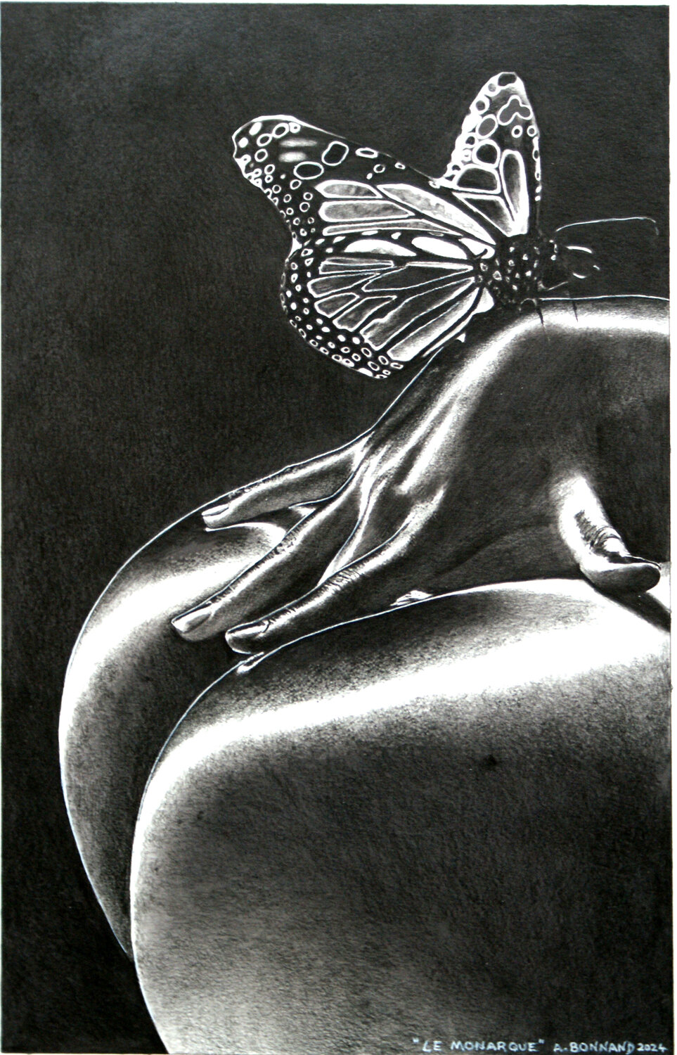 Le Monarque Alain Bonnand