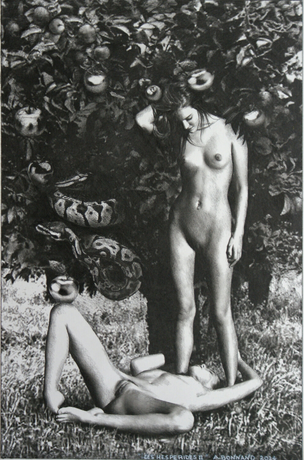 Les Hespérides II Alain Bonnand