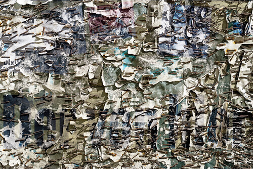 Bostitch_1 van Alfio Sacco, Fotografie te koop op Singulart