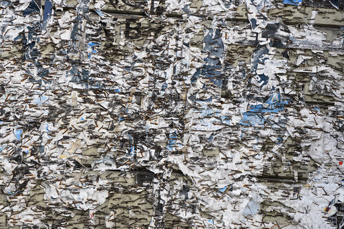 Bostich_3 von Alfio Sacco, Fotografie kaufen auf Singulart