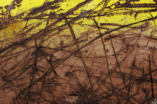 Graffi in Giallo Alfio Sacco