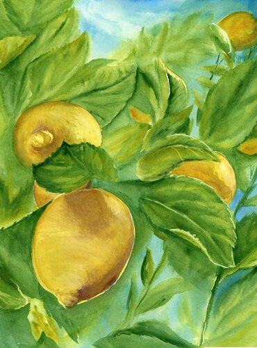 Lemon Bliss von Alisa Vovk, Malerei kaufen auf Singulart