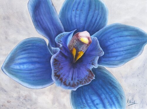 Lapis Orchid van Alisa Vovk, Schilderij te koop op Singulart
