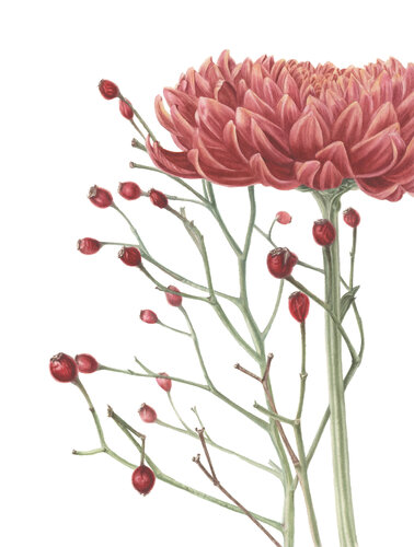 Late bloom van Alisa Vovk, Schilderij te koop op Singulart