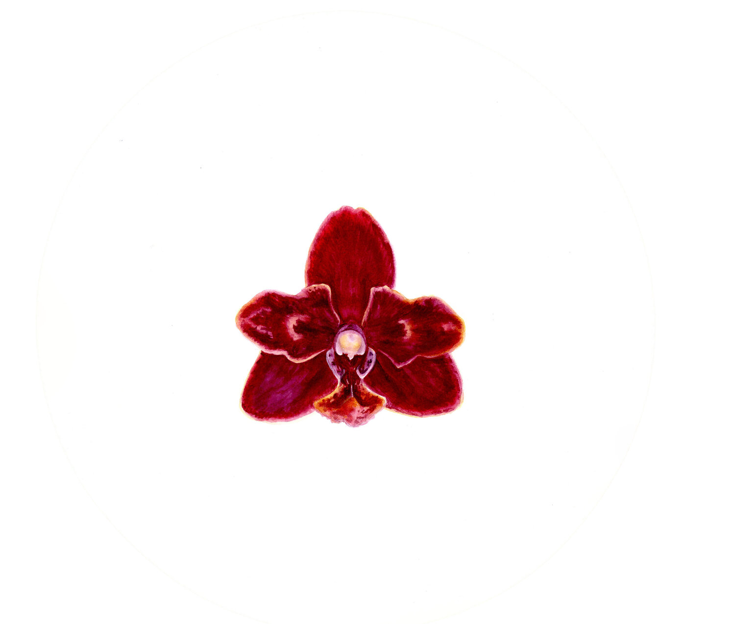 Esmee Orchid Alisa Vovk