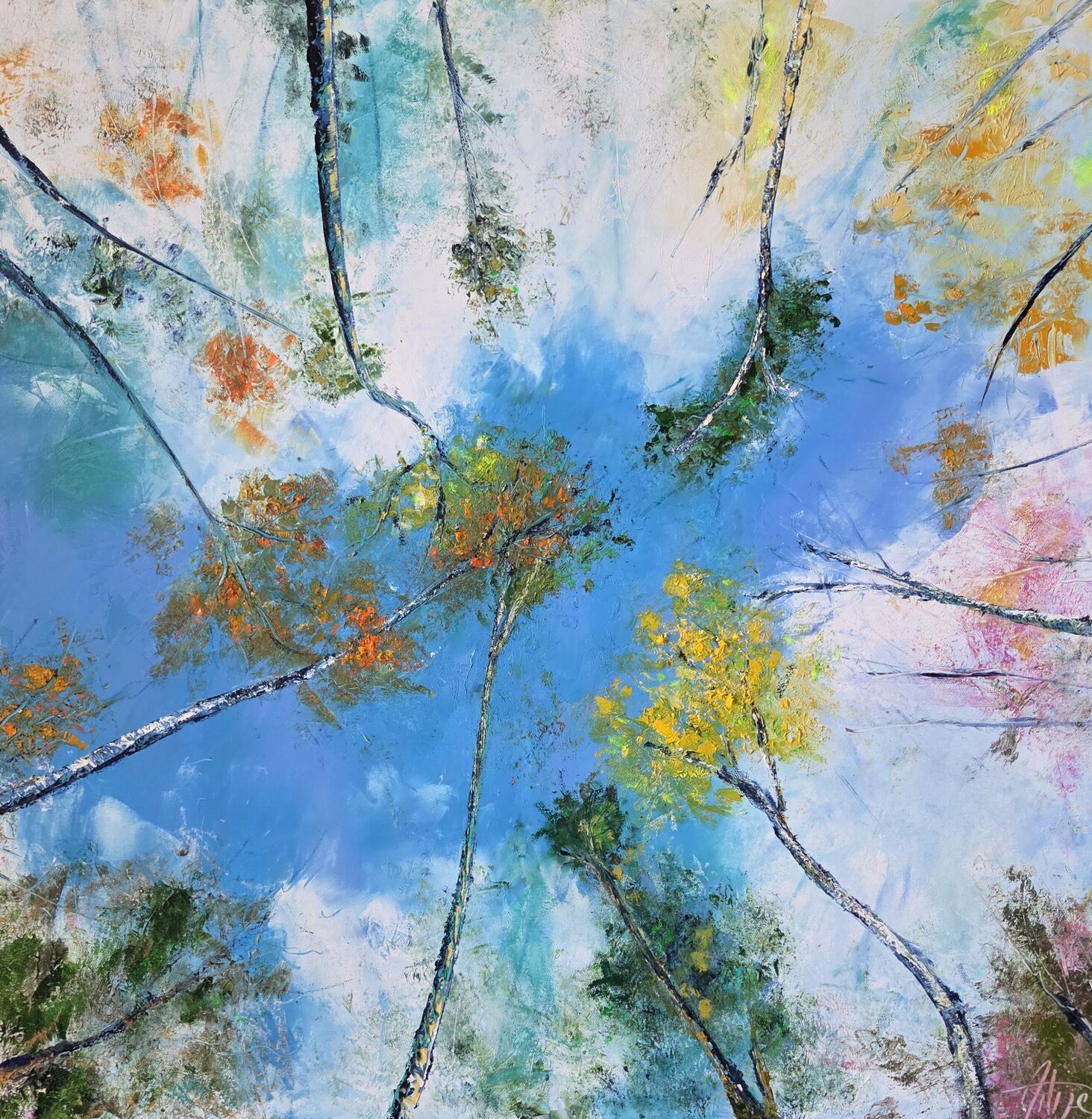 A travers le ciel Artize