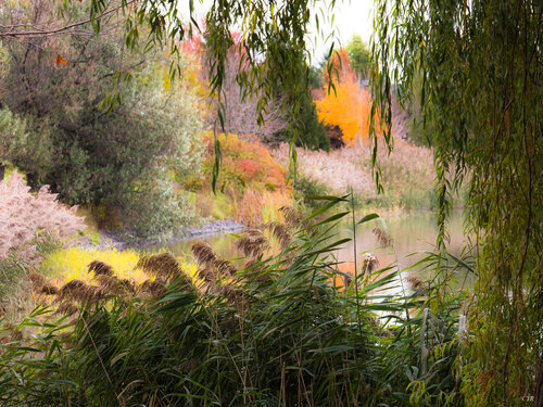 Variations von Pierre Cyr (2020): Fotografie Digital auf Metall - Singulart