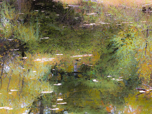 fantaisie aquatique van Pierre Cyr, Fotografie te koop op Singulart