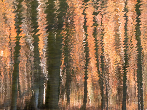 Orangeries von Pierre Cyr, Fotografie kaufen auf Singulart