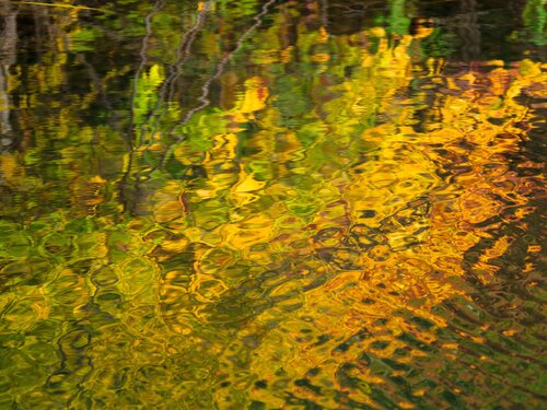 Vibrations d'automne von Pierre Cyr, Fotografie kaufen auf Singulart