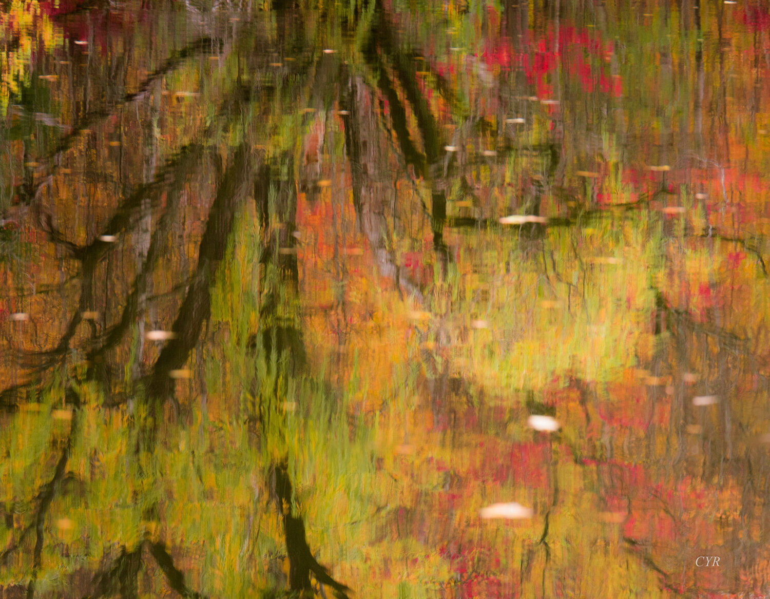 nature abstraite Pierre Cyr