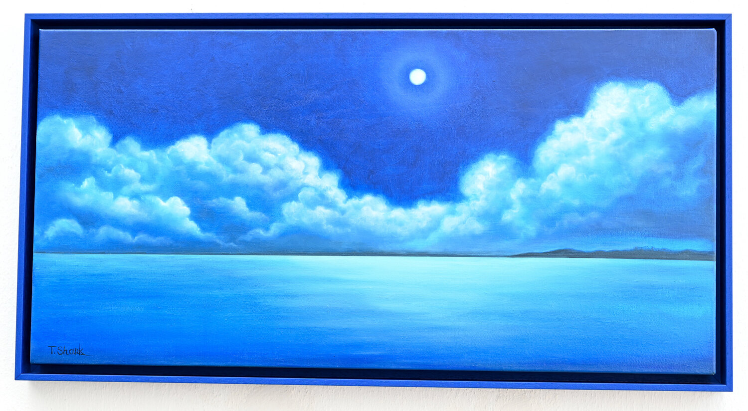 Night seascape in a frame Tanya Shark