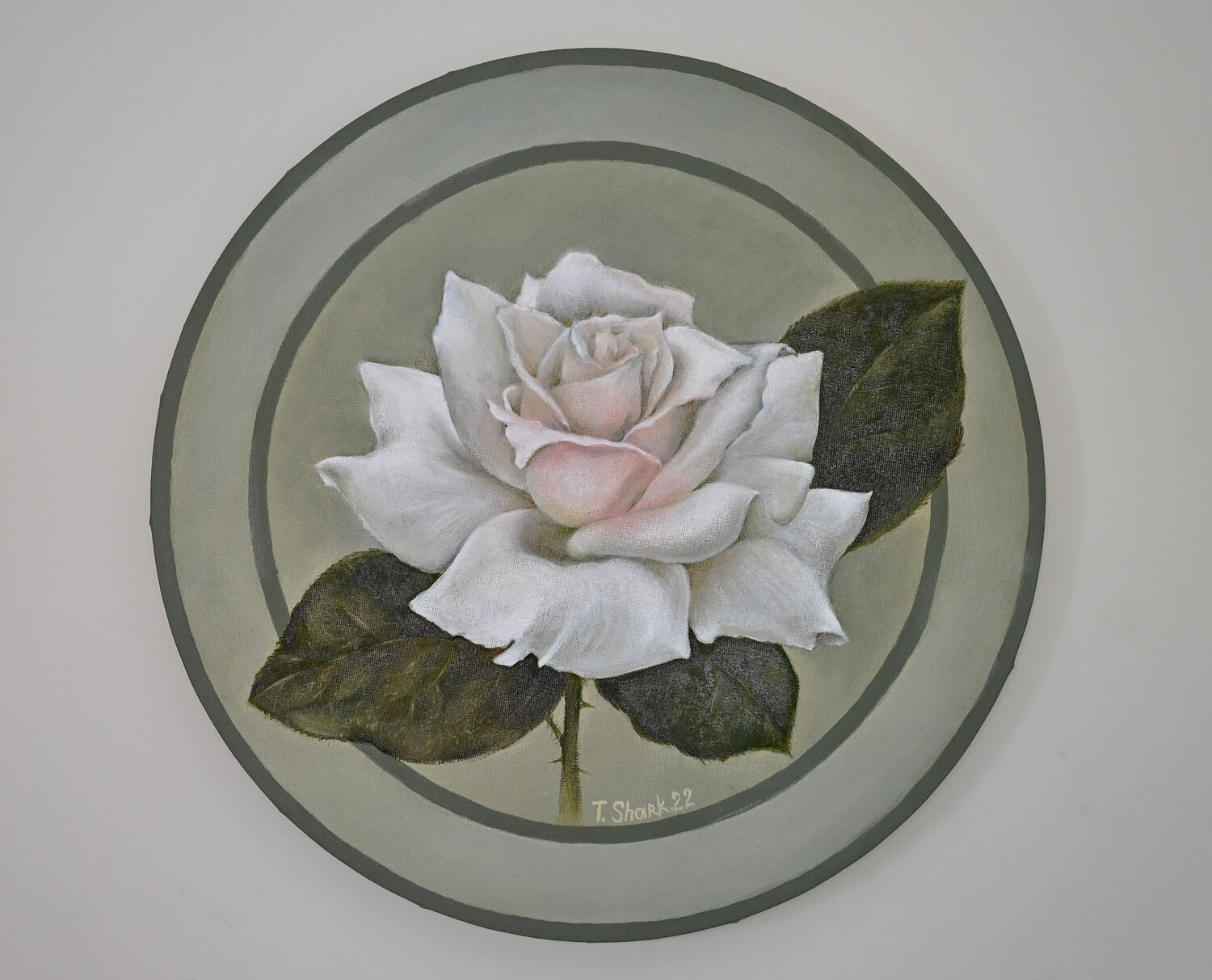 Rose Tanya Shark
