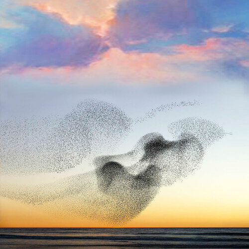 Somerset Murmuration 1 - Museum Quality Giclée Print de Gordon Coldwell, Digital a la venta en Singulart