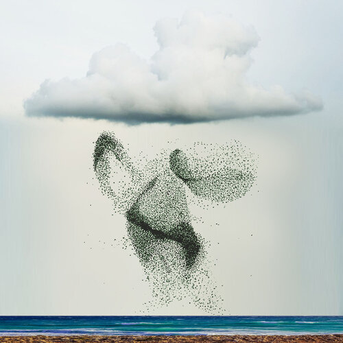 Somerset Murmuration 2 -  Museum Quality Giclée Print van Gordon Coldwell, Digitaal te koop op Singulart